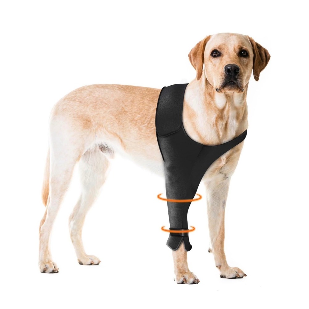 Dog Recovery Sleeve Front Right Leg Medium Elbow Protector Cone Alternative